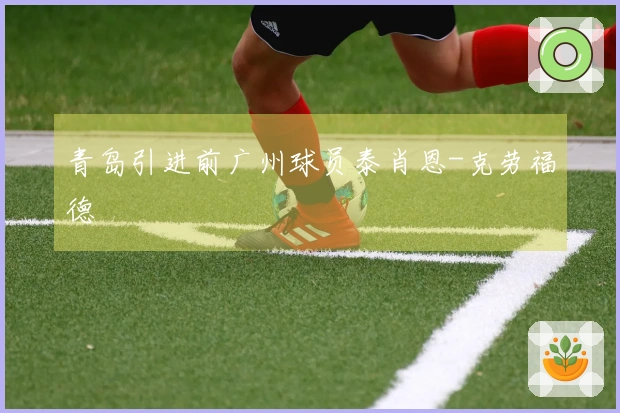 青岛引进前广州球员泰肖恩-克劳福德